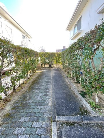 久留米市国分町のアパートの庭