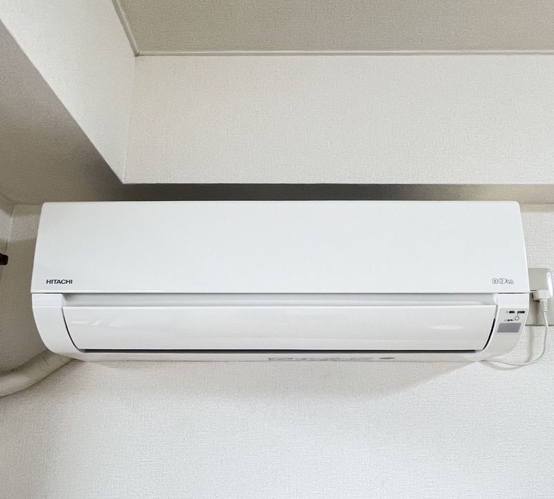 Southern Gardenのその他