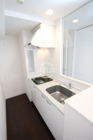 ベルフェリーク天満橋のキッチン|ベルフェリーク天満橋（旧名：アーバネックス天満橋）　ガス2口システムキッチン