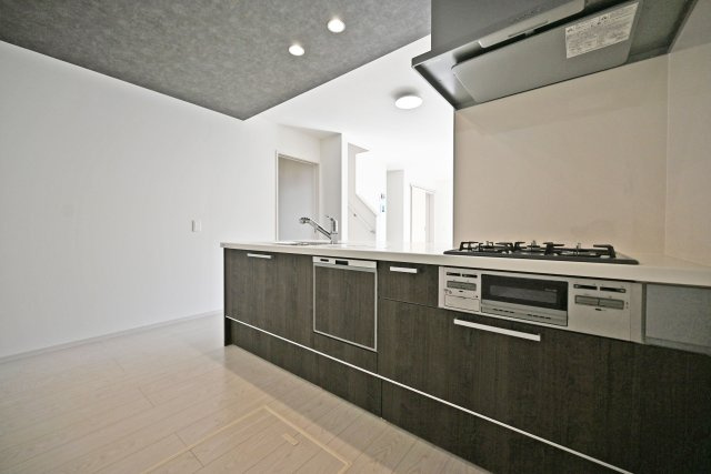 テラシエ寺本3丁目新築一戸建て│4LDK+駐車並列2台可(車種制限有)のキッチン|1階キッチン奥側から撮影した写真です。浄水器一体型水栓、フラット整流板、食器洗い乾燥機などの充実した設備内容です。