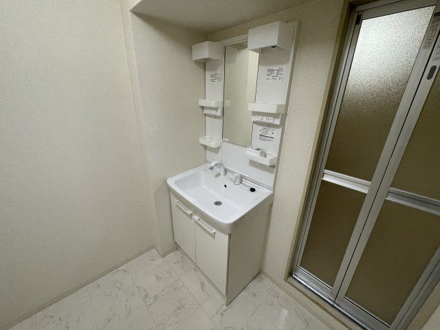 市川市市川２丁目の賃貸マンションの洗面所