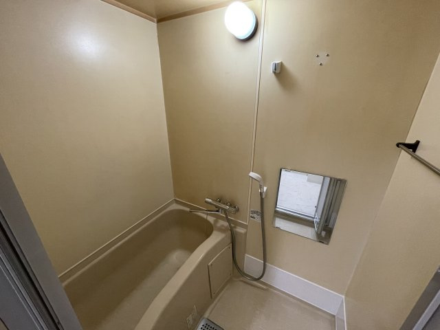 市川市市川２丁目の賃貸マンションの浴室