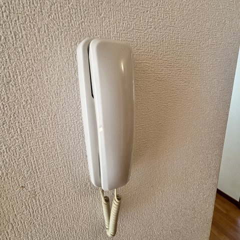 ヴィーナスステージのセキュリティ
