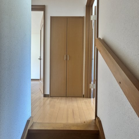 ヴィーナスステージのその他