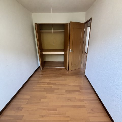 ヴィーナスステージのその他