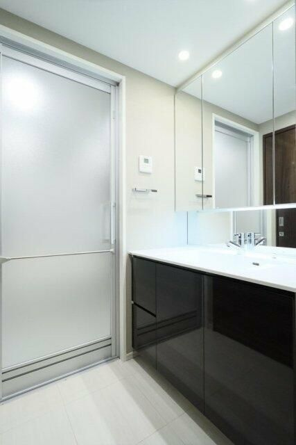 シティハウス目黒ザ・ツインＳＯＵＴＨ棟の洗面所