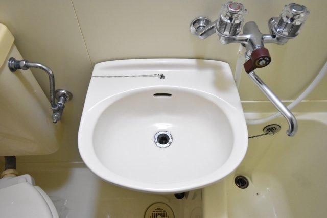 ナチュラル遠里小野の洗面所