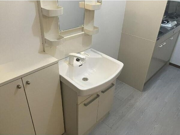 アネックス21(アネックスニジュウイチ)の洗面所