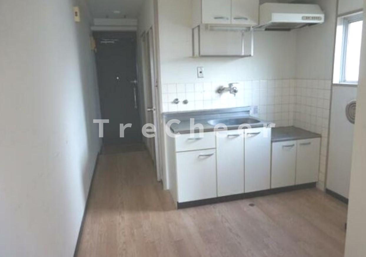 スカイハイツ大沢の玄関