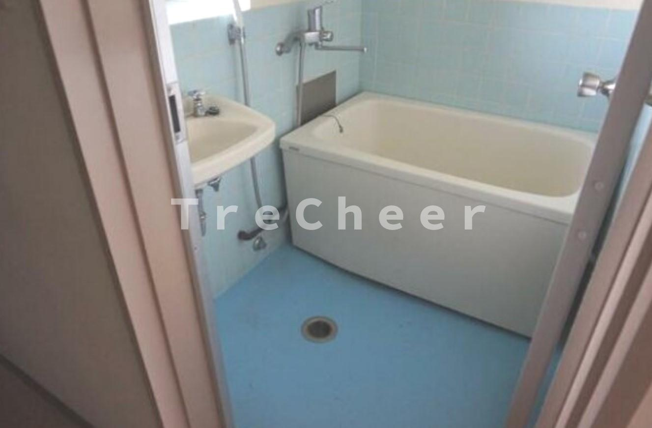 スカイハイツ大沢の浴室