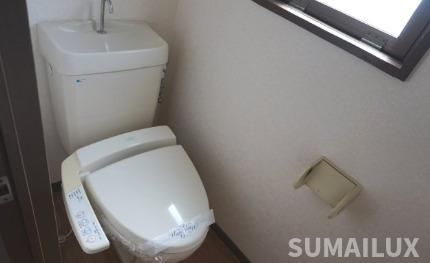 熊本市南区田井島３丁目の賃貸マンションのトイレ