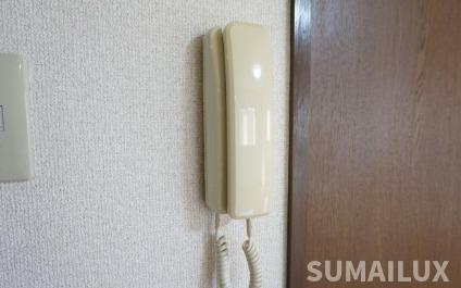 熊本市南区田井島３丁目の賃貸マンションのセキュリティ