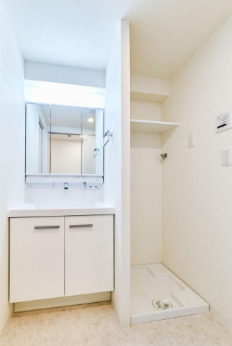 ル・リオン錦糸町エグゼの独立洗面台