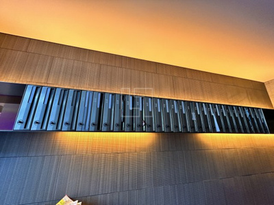 【その他共用部分】 | アドバンス心斎橋NEXTURE | アドバンス心斎橋NEXTURE（アドバンス心斎橋ネクスチャー）　メールBOX