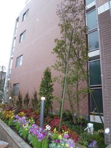 横浜市南区井土ケ谷下町の賃貸マンションのその他共用部分|植栽