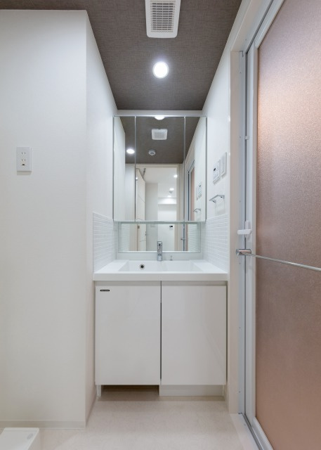 ステージグランデ向島の洗面所