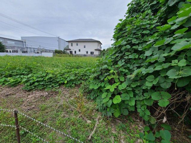 吉見町下細谷　土地220坪の外観