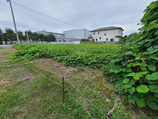 吉見町下細谷　土地220坪の外観