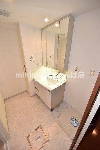 ロイヤルパークス桃坂の洗面所