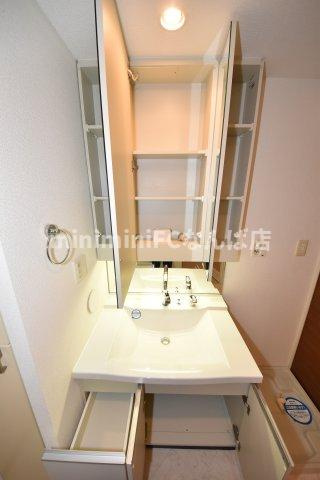 ロイヤルパークス桃坂