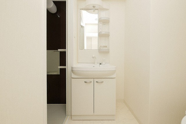 Park Lane Minamiの独立洗面台