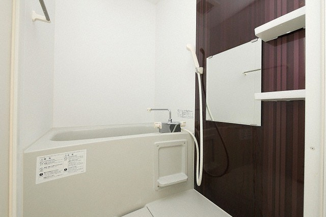 Park Lane Minamiの浴室