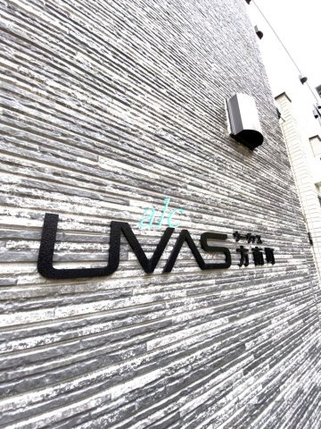 ｓｓｓのその他