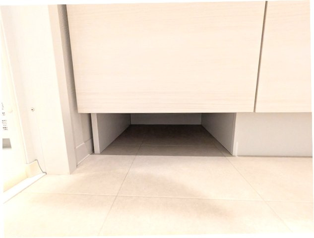 CLARITIA文京湯島の設備|トイレと独立した洗面脱衣室の洗面台下にヘルスメーターストックあります