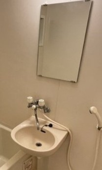 【洗面所】 | ジプソフィラ