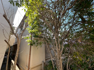 【外観】 | お客様が安心して物件探しが出来るよう心がけております！お気軽にお問い合わせください！！