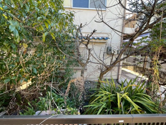 【その他】 | 周辺にはスーパーや薬局など、商業施設がそろっていますよ！とても住みやすい環境ですよ♪