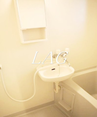 【洗面所】 | リースランド矢口Ａ棟 | 洗面台です。