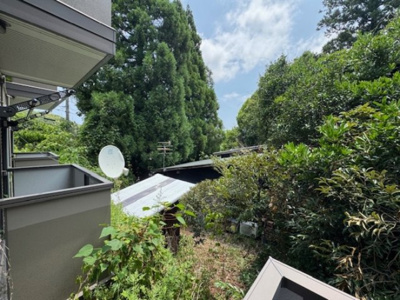 【展望】 | アイディール