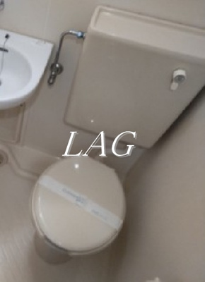 【トイレ】 | スカイコート新宿落合第４ | トイレです。