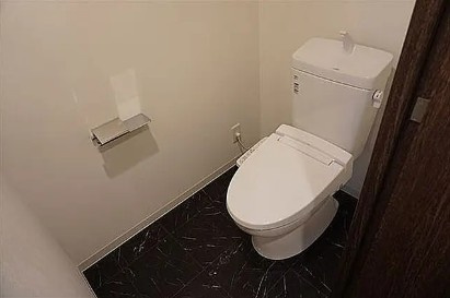 文京区湯島２丁目の賃貸マンションのトイレ