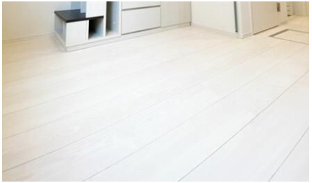 ＴｅｒｒａｃｅＳａｉｎｔＨｏｎｏｒｅのその他