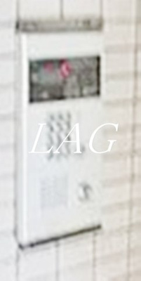 【セキュリティ】 | キャピタルヒロ | オートロックです。