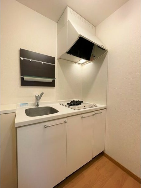 テルスドゥガイアのキッチン|コンパクトなキッチンで掃除もラクラク