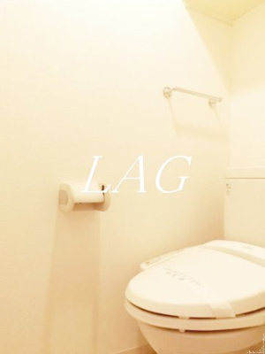 【トイレ】 | グランヴァン大井町Ⅱ | トイレです。