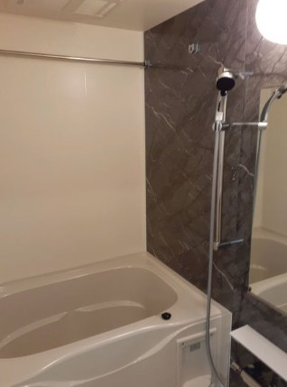 エクセルアヴェニューの浴室