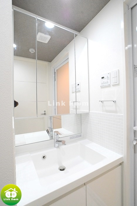 ステージグランデ向島の洗面所