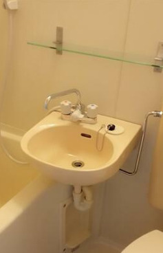 ドミシール江古田の洗面所