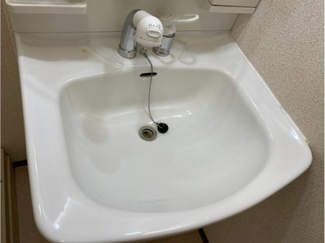 コンフォール清水の洗面所