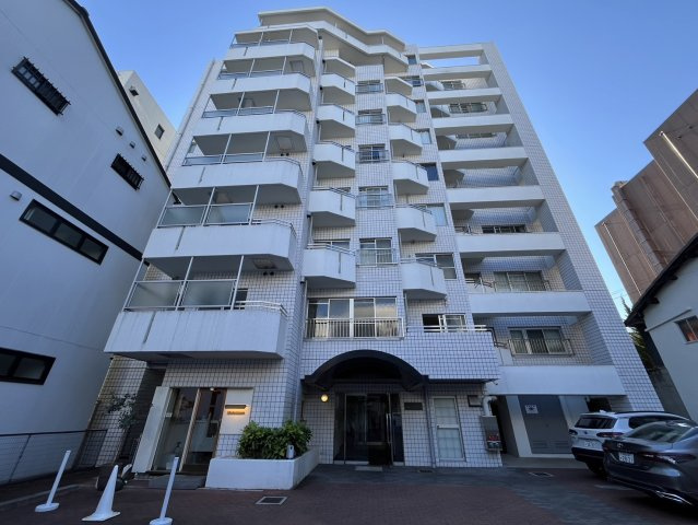 エギュー・ド・ブランシェの外観