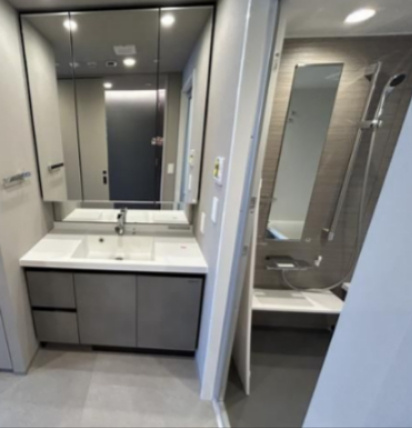 ブランシエスタ浅草蔵前の洗面所