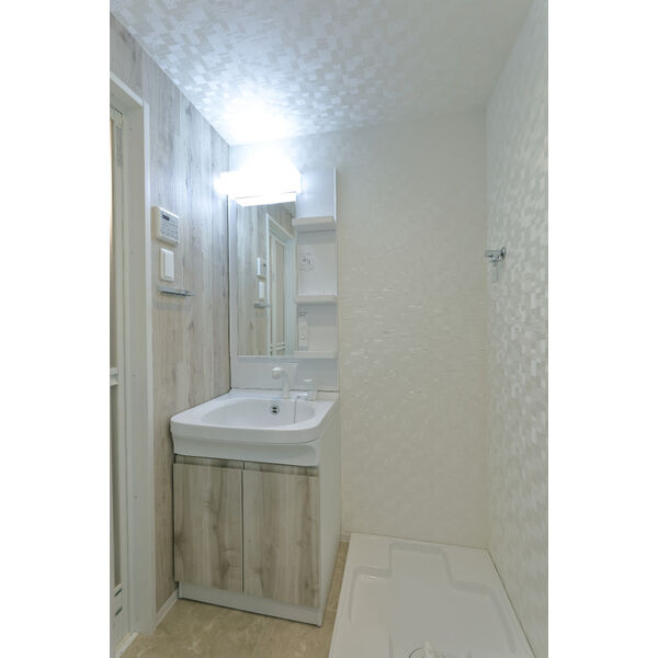 S-RESIDENCE浅間町駅前axial(アクシャル)の洗面所