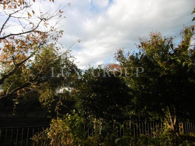 【展望】 | サンシャインエスⅡ