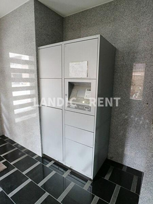 【その他】 | アイ・セレブ薬院