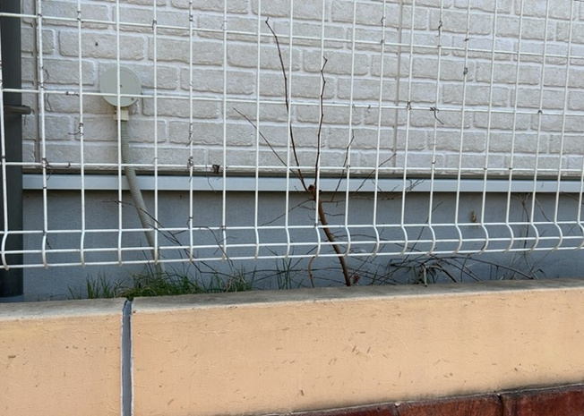 【冷暖房・空調設備】 | 床下換気口は、床下に湿気がこもることを防ぎ、効果的に換気を行うために設置されています。床下換気口が設置されていない建物は、基礎パッキング工法などにより換気を行なっています。詳細は現地でご確認ください。