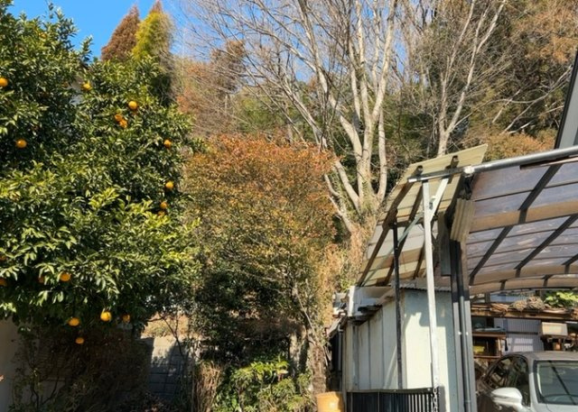 【展望】 | 眺望を気にして物件を探す場合、前面に建物が建っていないか現地で確認しましょう！前面に建物があると景色はもちろん、日当たりや風通しにも影響が出てきます。住んだ時のことを想像しながら現地見学をしましょう。